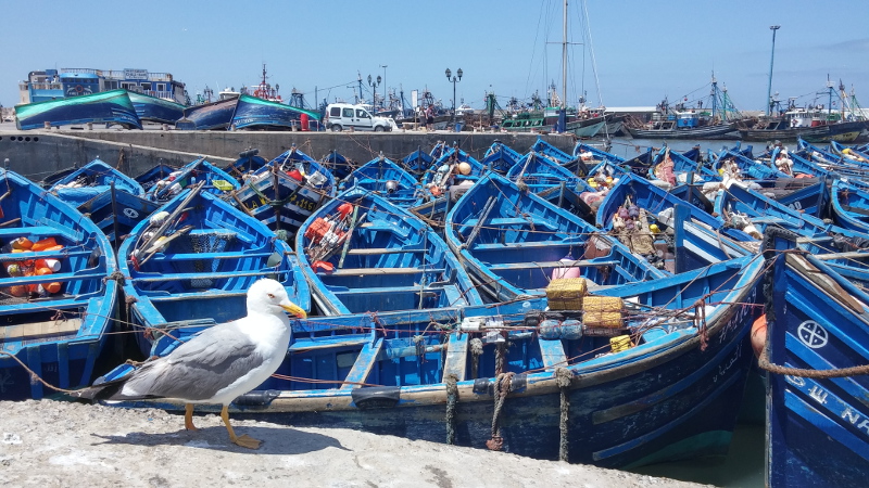 ESSAOUIRA 1 JOUR