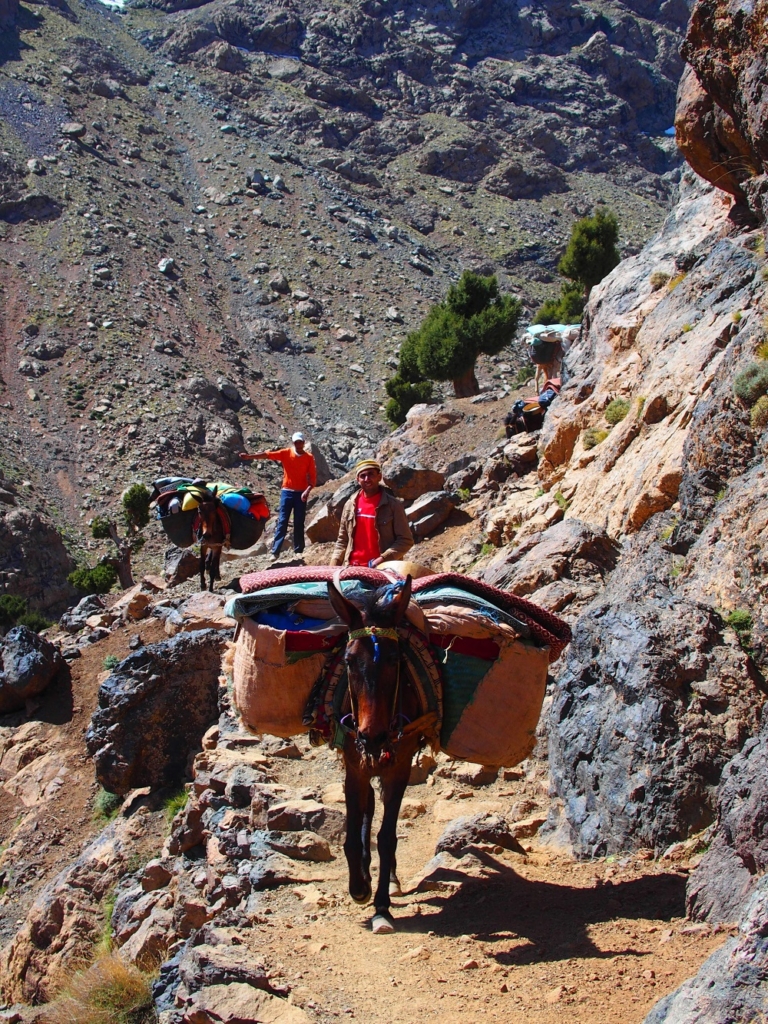 TREK FACILE EN FAMILLE ET ENFANTS MONTAGNES DE L’ATLAS 5 JOURS DE TREK DANS LA VALLÉE DES AIT BOUGMEZ