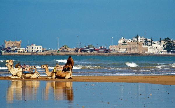 RANDONNÉE À DOS DE CHAMEAU DE 7 JOURS SUR LA CÔTE ATLANTIQUE