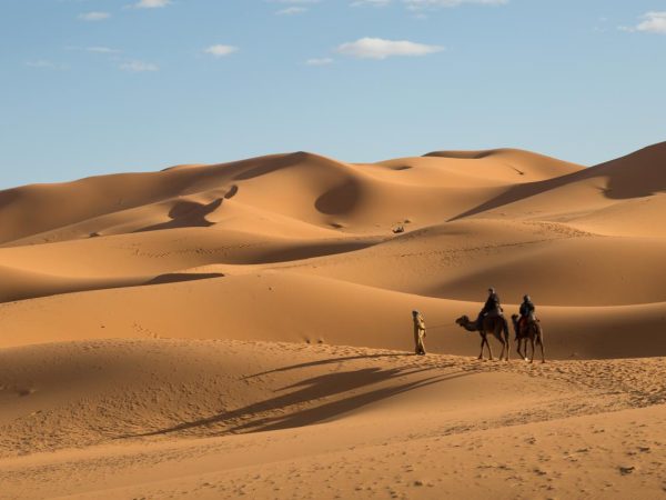 Marrakech Kasbahs and Desert Adventure