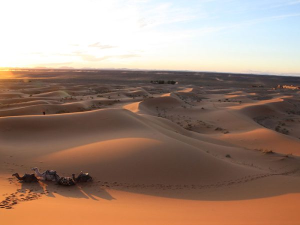 5 Days Atlas Mountains & Sahara Trek – From Toubkal to Merzouga