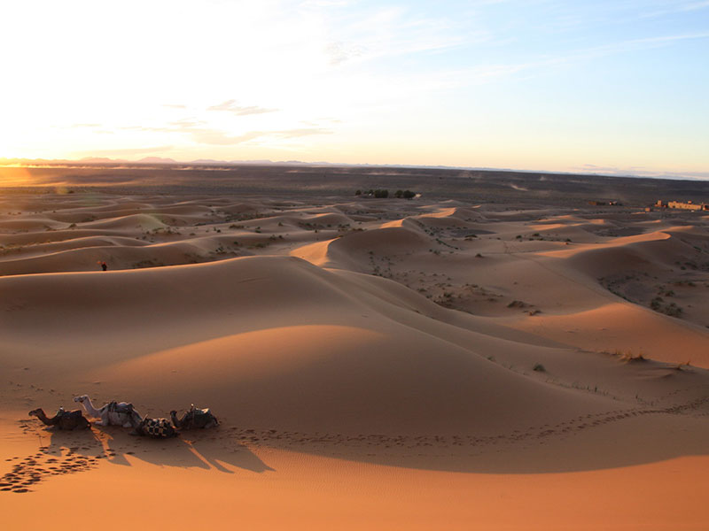 5 Days Atlas Mountains & Sahara Trek – From Toubkal to Merzouga